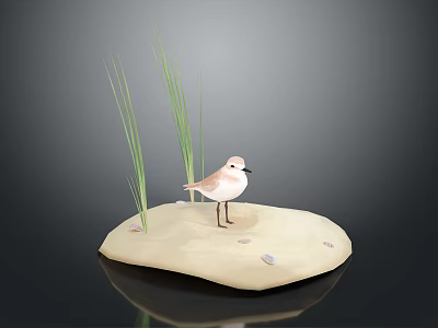 Small Bird Standing On Light Beige Sandy Ground With Green Grass Blades And Dark Background 3d model