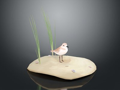 Modern Birds 3d model