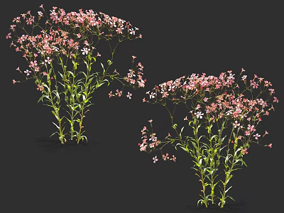Vibrant Pink Small Flowers With Green Stems And Leaves On Dark Background 3d model