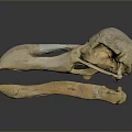 Parrot Skull Hawk Skull Bird Skull Bird Fossil Life Supplies 3d model