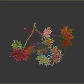 Colorful Autumn Maple Leaves on Branches with Red Yellow Orange Tones