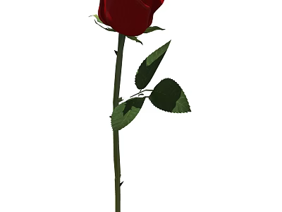 Single Red Rose Flower In Vase With Green Leaves And Stem 3d model