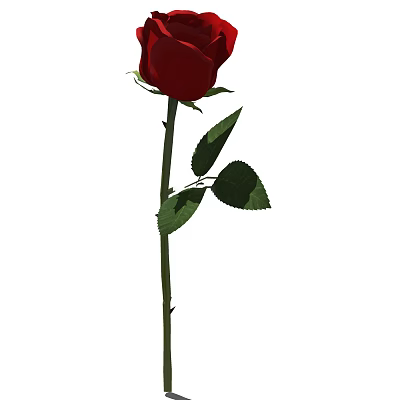 Single Red Rose Flower In Vase With Green Leaves And Stem 3d model