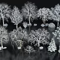 Snow Covered Trees With Various Types And Sizes In Winter Scene 3d model