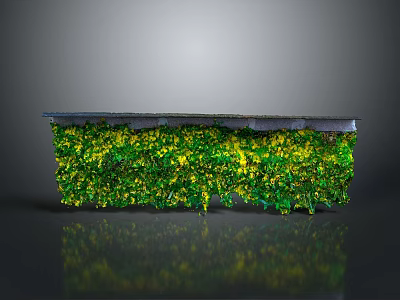 Lush Green Plant Wall with Yellow Accents Against Gray Background and Reflective Surface 3d model