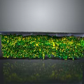 Lush Green Plant Wall with Yellow Accents Against Gray Background and Reflective Surface