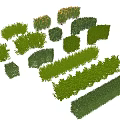 Various Types Of Green Shrubs With Different Shapes For Garden Landscaping