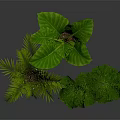 Three Varied Indoor Leafy Plants in Concrete Black and Beige Ceramic Planters on Dark Surface
