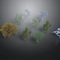 Different Types of Trees with Various Colors and Shapes on Gray Background