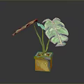 Monstera Plant With Large Green Split Leaves In Yellow Orange Painted Square Pot