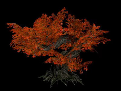 Vibrant Tree With Lush Orange Leaves Twisted Trunk And Visible Roots Against Black Background 3d model
