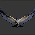 Blue and white bird flying with spread wings on gray background showing clear reflection below 3d model