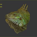 Vibrant Iguana Head with Green and Blue Scales Spikes and Orange Eyes on Dark Background