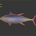 Purple And Blue Tuna Fish With Yellow Fins On Gray Background With Reflection
