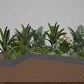 Tropical Plant Combination in Gray Planters on Wooden Deck with Large Leaves Ferns Orange Blooms