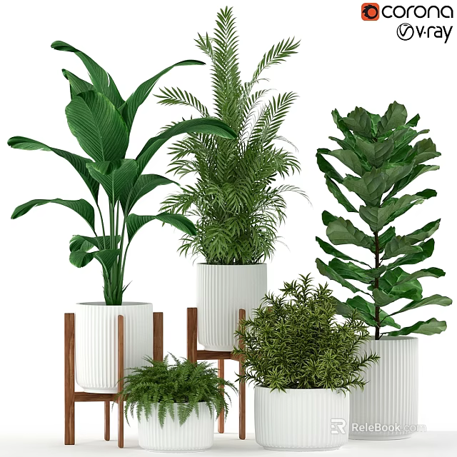 Elegant Indoor Decorative Plant Arrangement With White Planters And Wooden Stands 3d model 