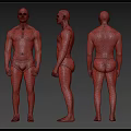 Man Shirtless Standing Poses Front Side Back Views With Black Underwear