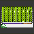 Green Plants In Layered Cultivation Structure With Multi Colored Base And Metal Supports