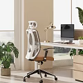 Ergonomic Mesh Office Chair In Bright Public Workspace With Desk Lamp Monitor And Green Plants