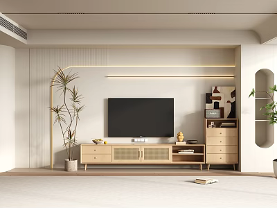 Minimalist TV Wall with Black TV Wooden Media Console LED Lighting and Green Plants 3d model