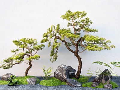 pine plant combination landscape modeling tree mountain pine stone micro terrain model