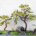 pine plant combination landscape modeling tree mountain pine stone micro terrain 3d model