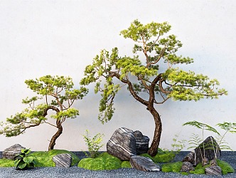 pine plant combination landscape modeling tree mountain pine stone micro terrain 3d model