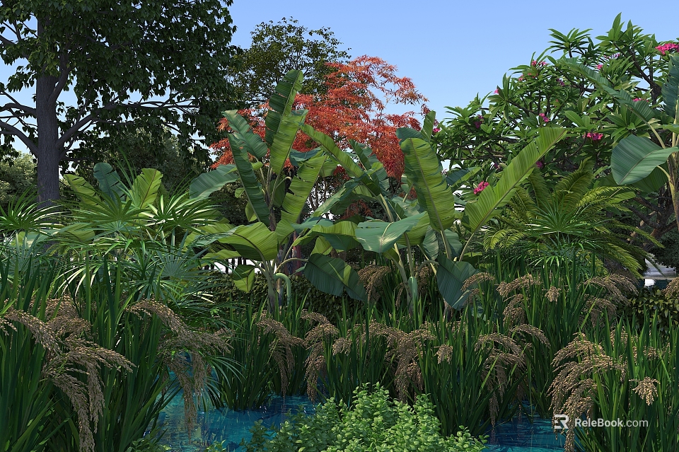 Natural Scenery with Banana Trees Red Leaves and Water Area Surrounded by Lush Green Plants 3d model 