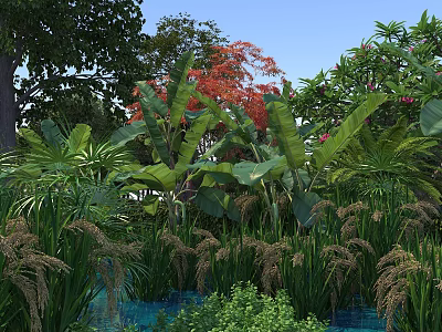Natural Scenery with Banana Trees Red Leaves and Water Area Surrounded by Lush Green Plants 3d model