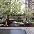 Urban Garden Landscape Design With Trees Benches and Green Plant Seating Area