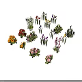 Colorful Various Flowers And Green Plants Arranged In Circle With Different Varieties