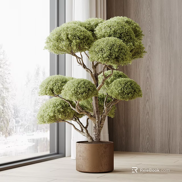 Indoor Bonsai Tree With Lush Rounded Foliage In Brown Pot By Window With Snowy View 3d model 
