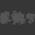 Arbor Trees With Lush Green Foliage And White Blossoms On Black Background