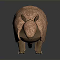 Realistic 3D Armadillo Character Model with Scaly Armor Brown Color and Detailed Texture