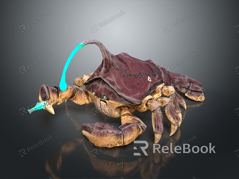 crab sea crab river crab hairy crab bread crab hermit crab big crab small crab marine animal fish model