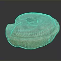 Chi chrysanthemum stone ancient fossil stone chrysanthemum fossil items 3d model