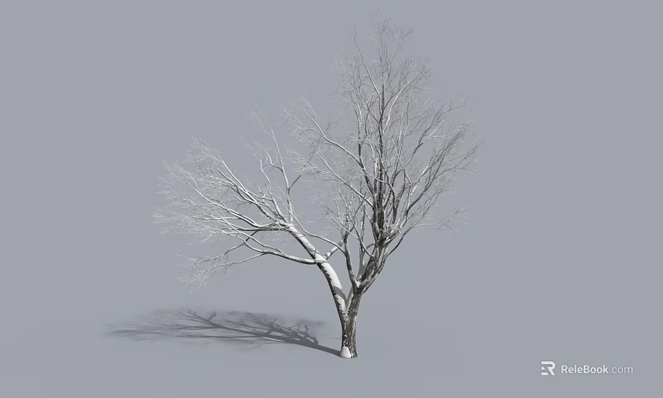 Winter Arbor with Snow Covered Branches and Shadow on Gray Background 3d model 