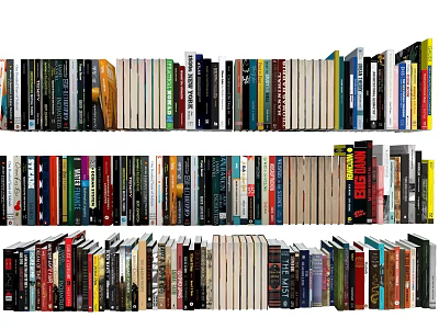 Colorful Books and Magazines Varied Sizes Multiple Rows Neatly Arranged Shelf 3d model