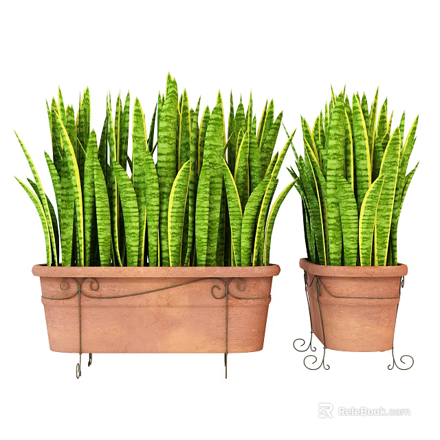 Potted Plants With Green Long Leaves In Brown Ceramic Pots Wrought Iron Decorations Stand Base 3d model 
