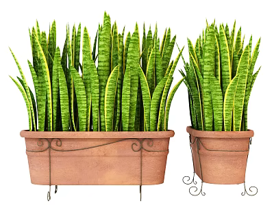Potted Plants With Green Long Leaves In Brown Ceramic Pots Wrought Iron Decorations Stand Base 3d model