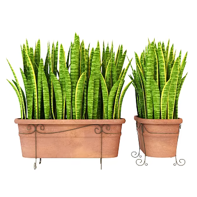Potted Plants With Green Long Leaves In Brown Ceramic Pots Wrought Iron Decorations Stand Base 3d model