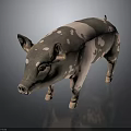 Realistic Standing Pig With Black And White Spots And Yellow Eyes On Dark Background
