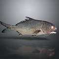 Grey Fish Shaped Decorative Household Item With Red Eyes Open Mouth And Shiny Surface