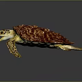 Vibrant Sea Turtle With Reddish Yellow Patterned Shell Swimming Gracefully 3d model