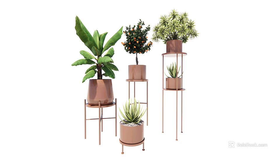 Various Bonsai Potted Plants on Metal Stands with Different Plant Varieties 3d model 