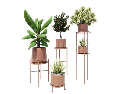 Various Bonsai Potted Plants on Metal Stands with Different Plant Varieties 3d model