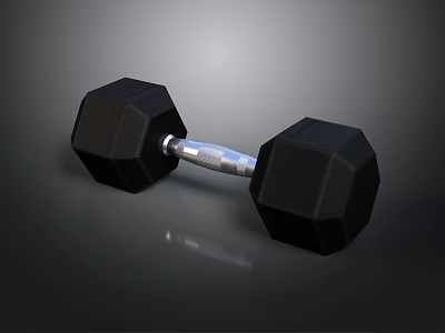Black Hex Dumbbell With Silver Metal Bar For Home Fitness Training 3d model