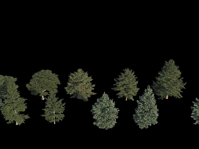 Diverse Arbor Trees With Green Foliage Lush Canopies And Various Shapes 3d model