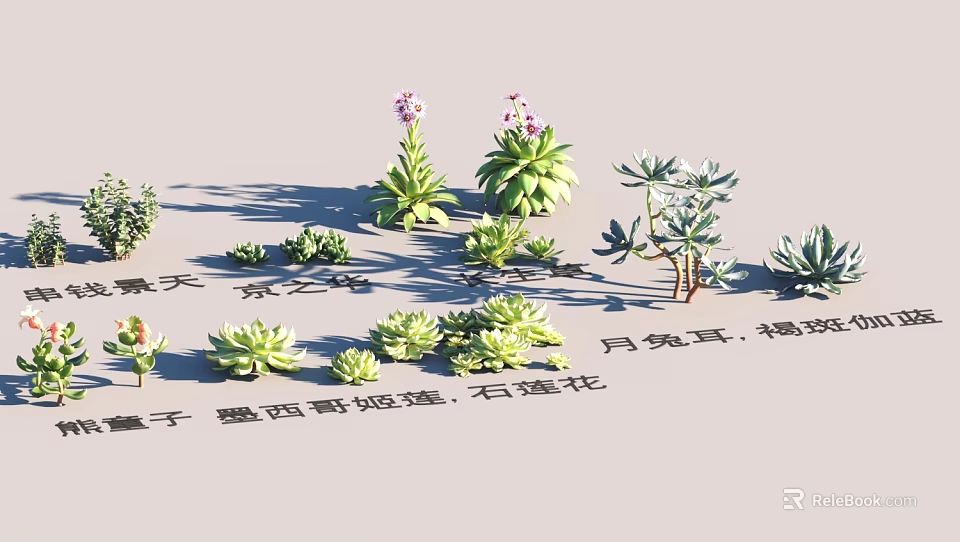 Diverse Garden Landscape With Succulent Plants Stone Lotus And Mexican Smoke Flowers 3d model 
