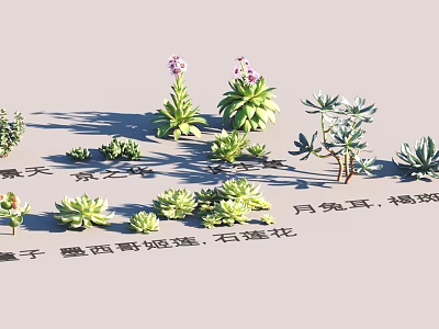 Diverse Garden Landscape With Succulent Plants Stone Lotus And Mexican Smoke Flowers 3d model